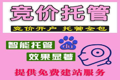 竞价托管SEM案例分析：提升品牌曝光度
